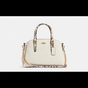 Coach mini sage carryall